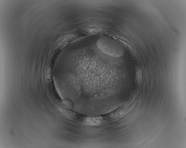 X0000111860571200908061338