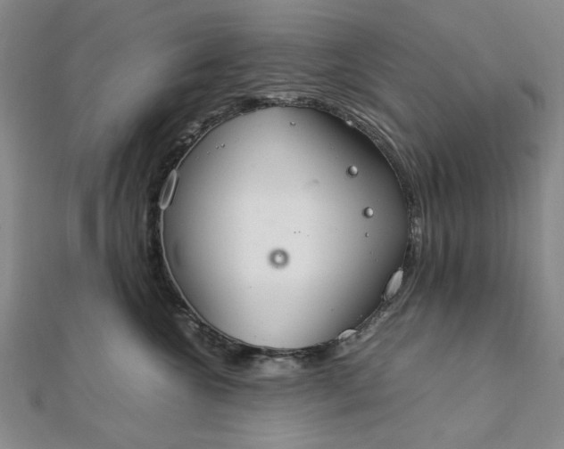 X0000111860572200908061338