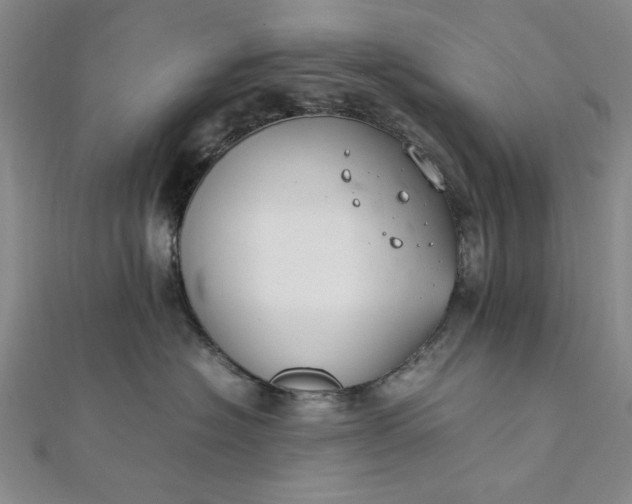 X0000111860574200908061338