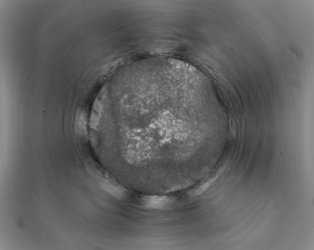 X0000111860575200908061338