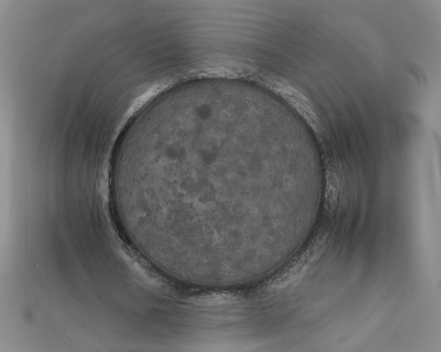 X0000111860578200908061337