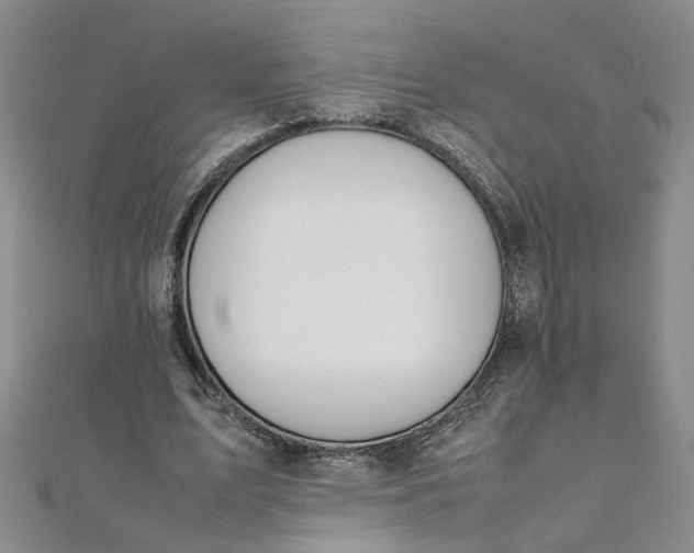 X0000111860583200908061337