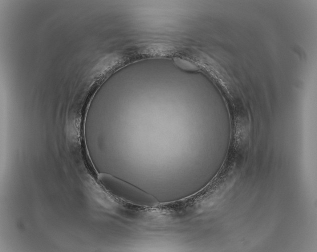 X0000111860585200908061337