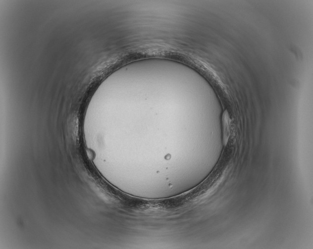 X0000111860589200908061337