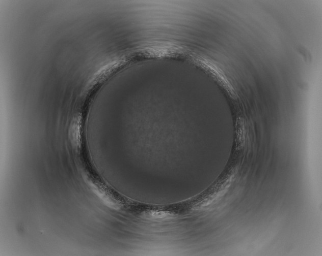 X0000111860590200908061337