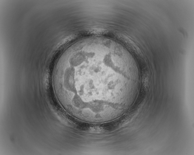 X0000111860591200908061337