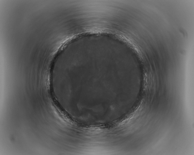 X0000111860592200908061337