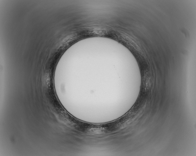 X0000111860595200908061337