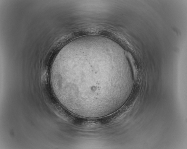 X0000111860597200908061337