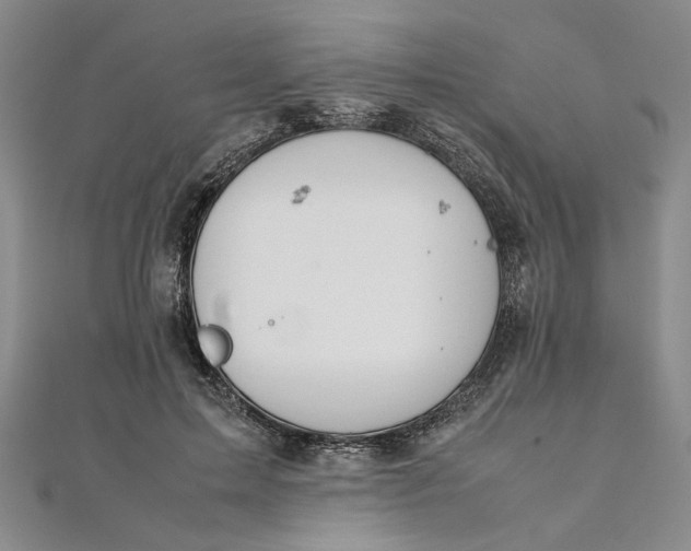 X0000111860599200908061337