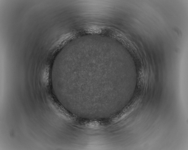 X0000111860600200908061337