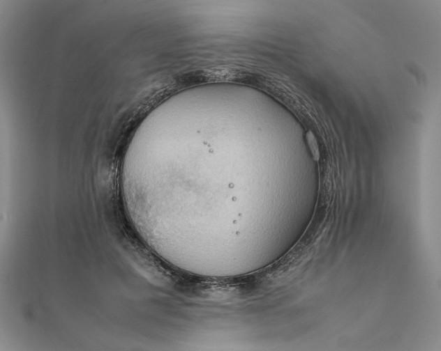 X0000111860601200908061337