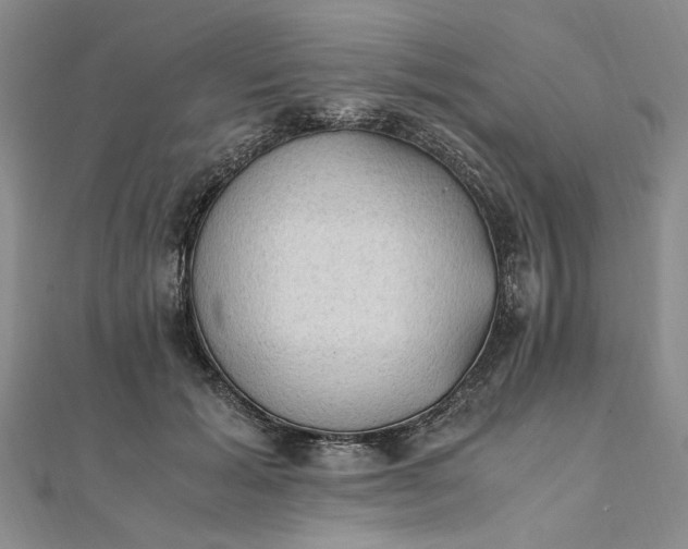 X0000111860605200908061337