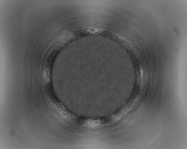 X0000111860606200908061337