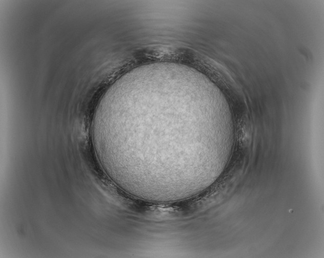 X0000111860607200908061337