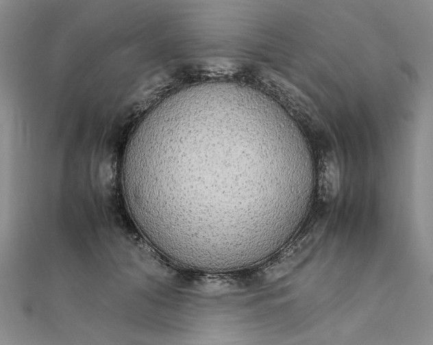 X0000111860608200908061337