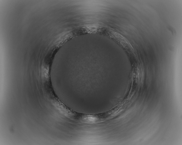 X0000111860610200908061337