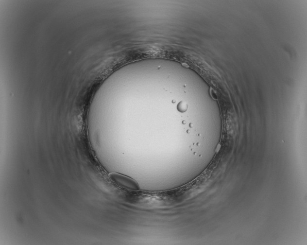 X0000111860611200908061337