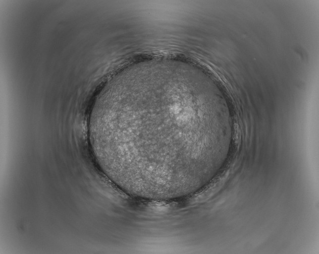 X0000111860613200908061337