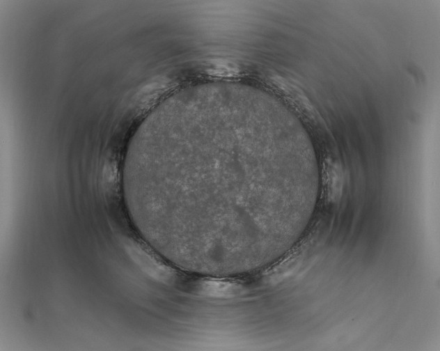 X0000111860614200908061337