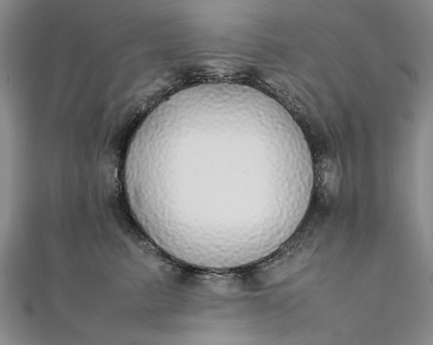 X0000111860615200908061337