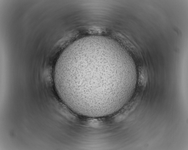 X0000111860616200908061337