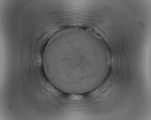 X0000111860617200908061337