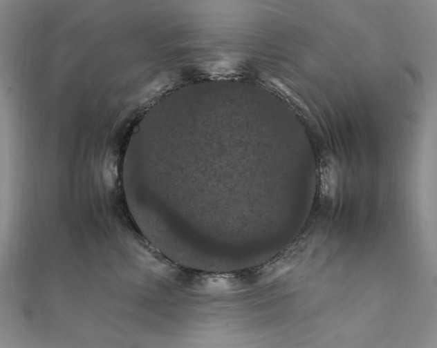 X0000111860618200908061337