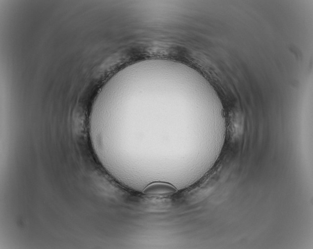 X0000111860619200908061337