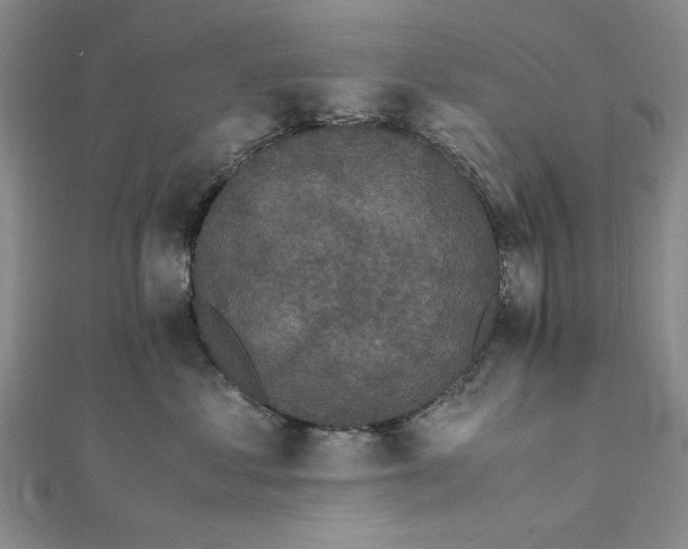 X0000111860621200908061337