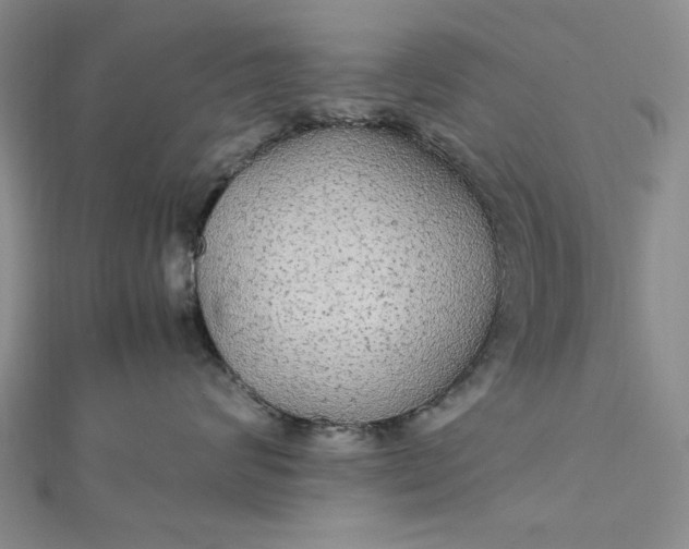 X0000111860624200908061337