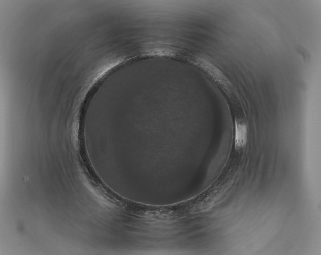 X0000111860627200908061336