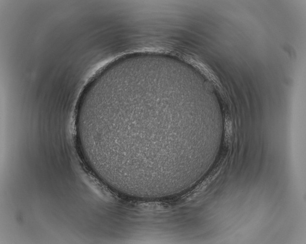 X0000111860628200908061336