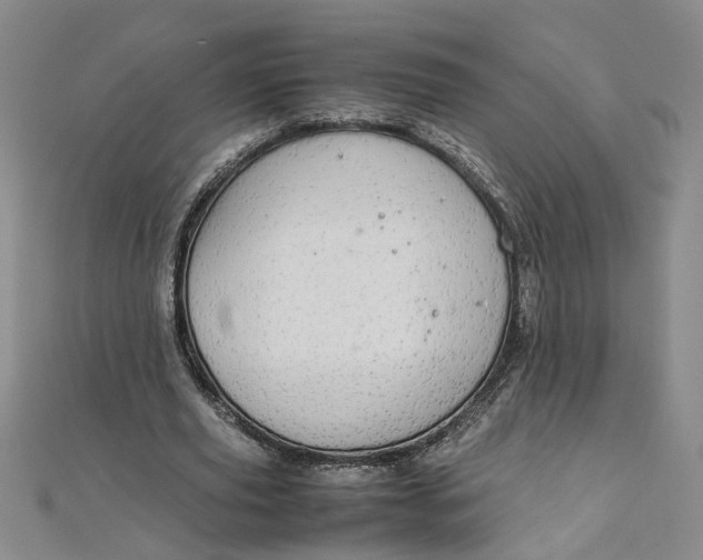 X0000111860629200908061336