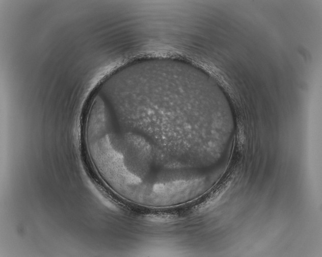 X0000111860630200908061336