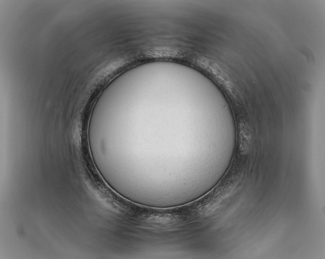 X0000111860631200908061336