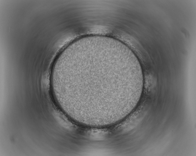 X0000111860632200908061336