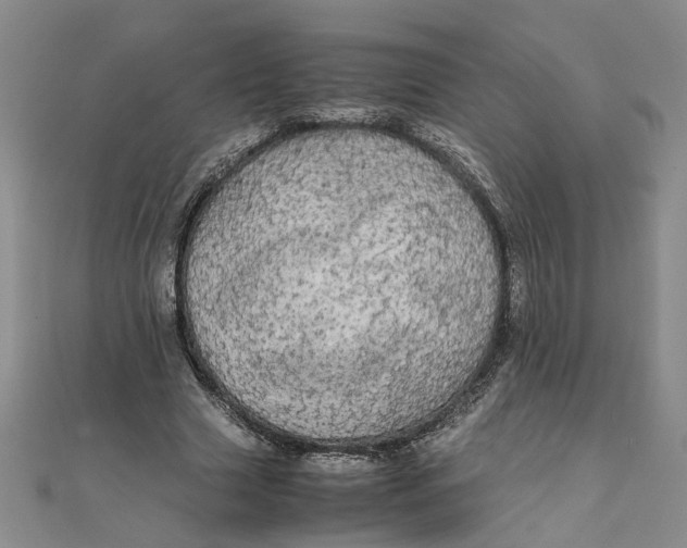 X0000111860633200908061336