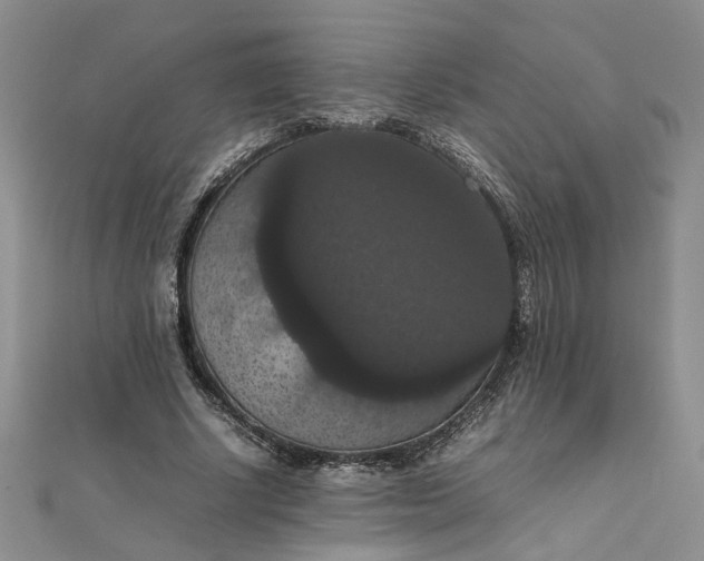 X0000111860634200908061336