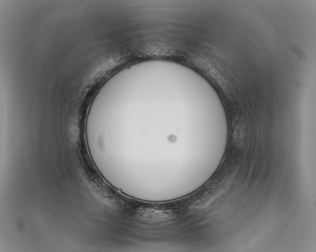 X0000111860635200908061336