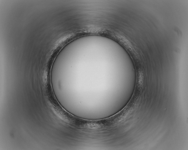 X0000111860636200908061336