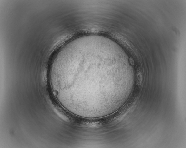 X0000111860638200908061336