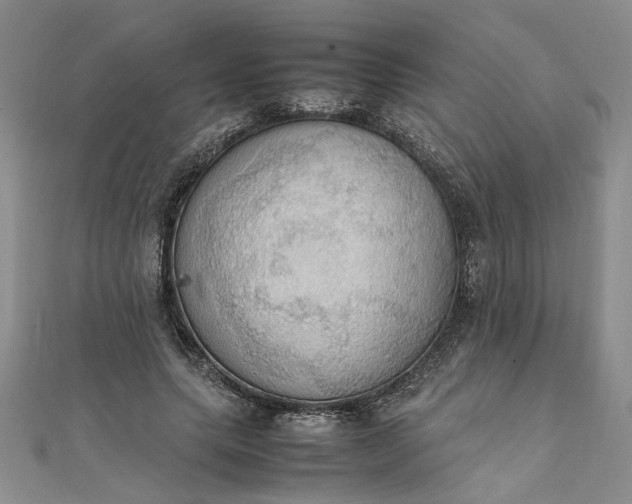 X0000111860639200908061336