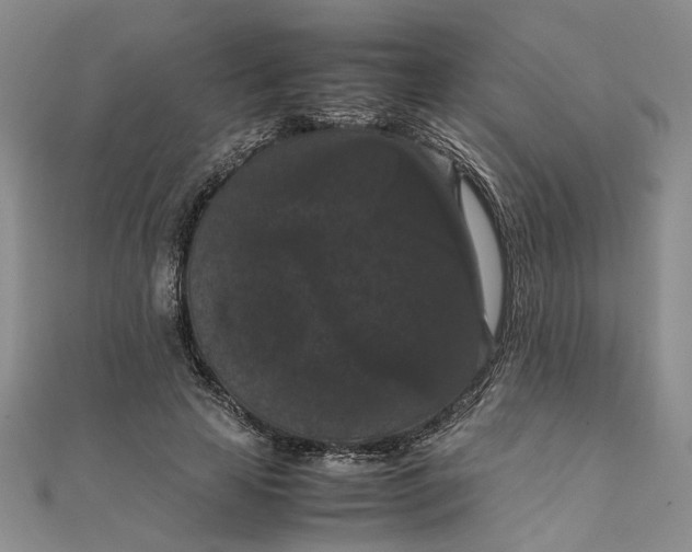 X0000111860641200908061336