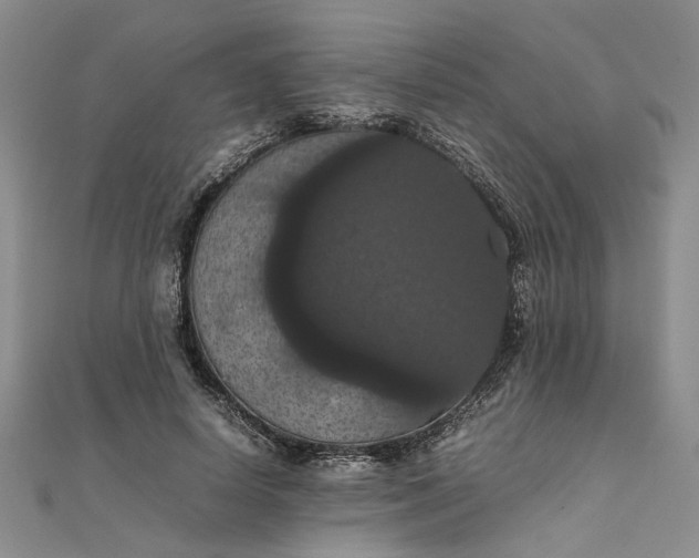 X0000111860642200908061336