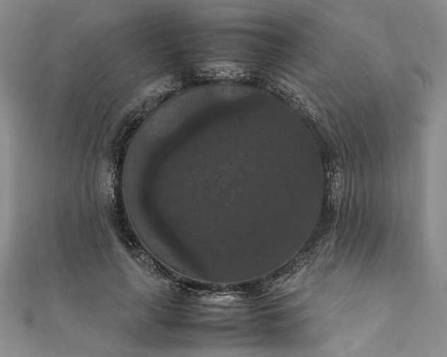 X0000111860643200908061336