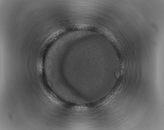 X0000111860644200908061336