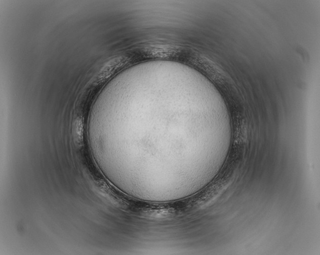 X0000111860646200908061336