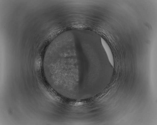 X0000111860647200908061336