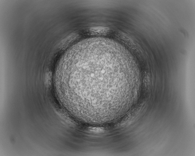 X0000111860649200908061336